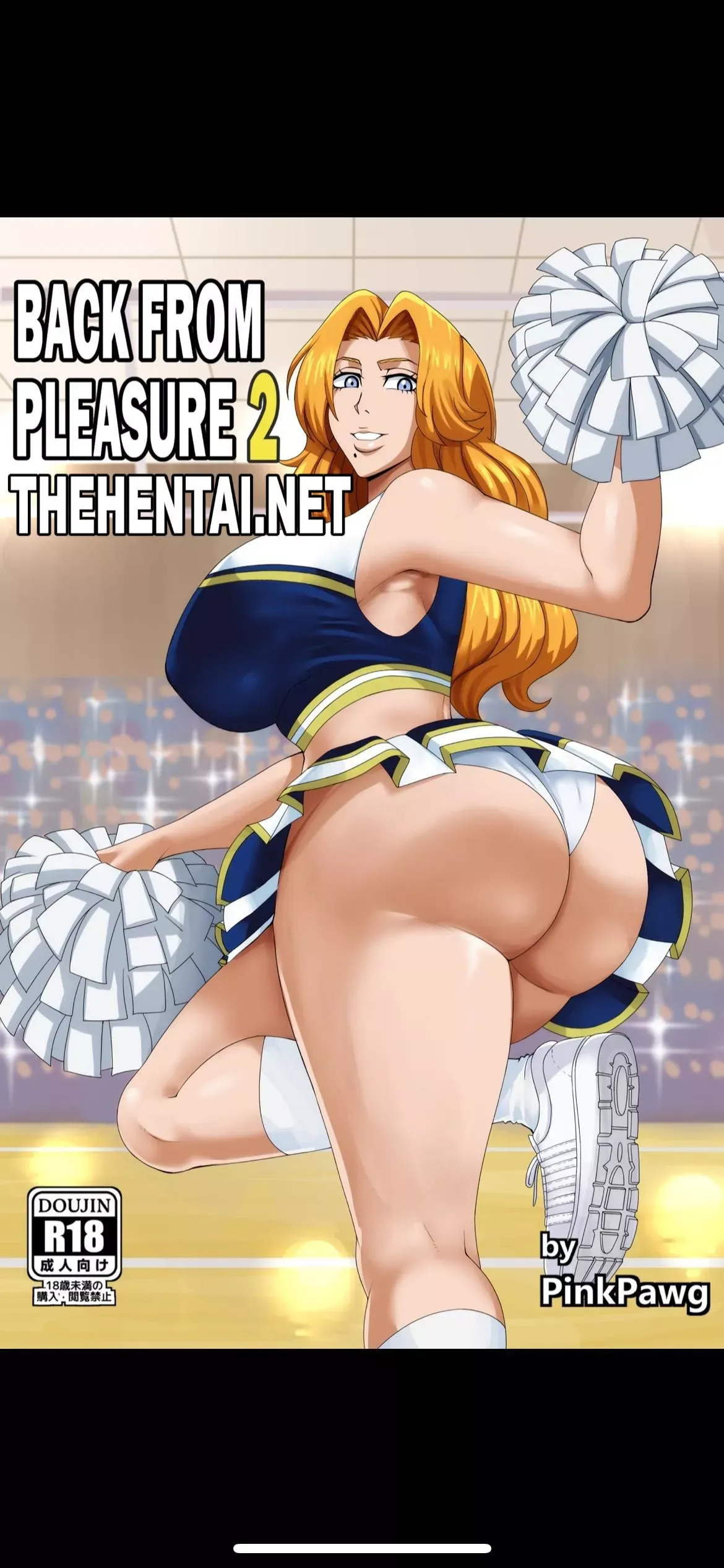 De Volta do Prazer 2 - Foto 1